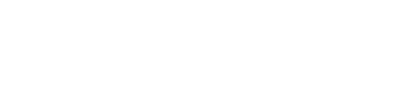Fundacion Felipe Gonzales