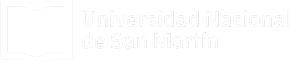 Universidad Nacional de San Martin